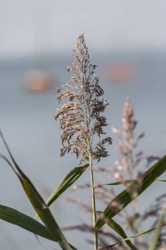 Profilbild von Gabriela Pfl&uuml;ger