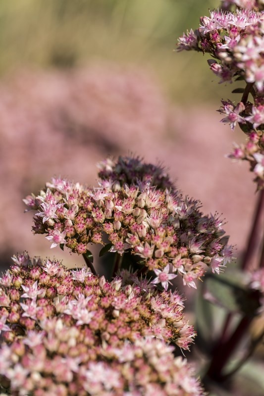 Profilbild von Heinz Podolski